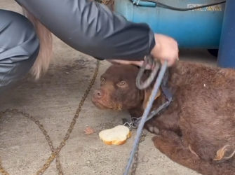 M1612010_They don’t ask to be born.._part2