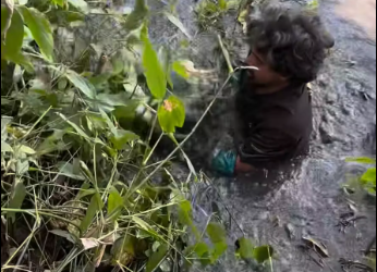 M1612017_Alhamdulillah rescued.3 bar bite kore baccha ta amay.� Md Abdul Kaium_part2