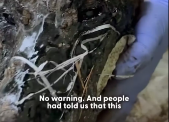 M1612021_It took 72 hours and three volunteers to remove all of the tar, the moment he does his first zoomies �� We talked_par