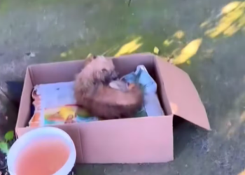 M1612022_En esta CAJA Esperaba Algo de AMOR_part2