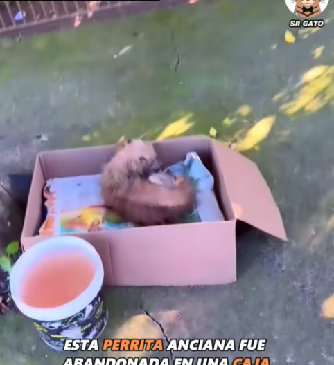 M1612022_En esta CAJA Esperaba Algo de AMOR_part2