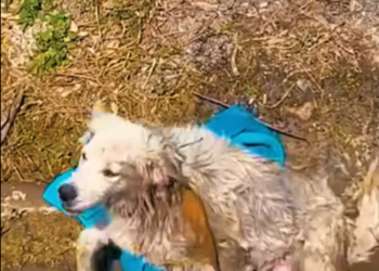 M1612024_Blanca had lost all her hopes – part 2