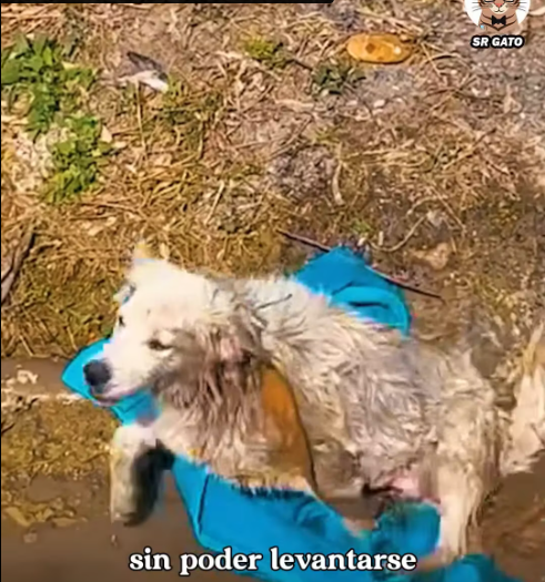 M1612024_Blanca had lost all her hopes – part 2