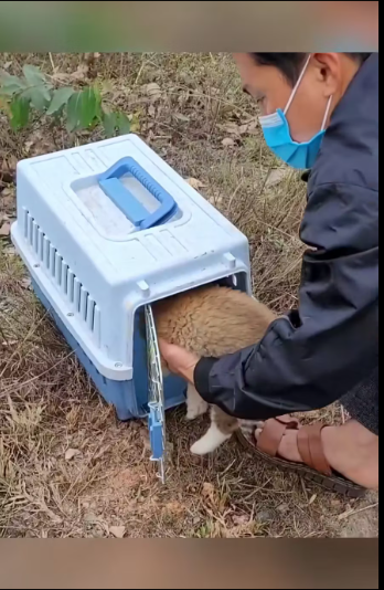 M2512012_Rescue puppy #rescue #rescuenaimals #animals #rescuedog #dog #puppy_part2