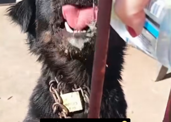 M2512019 Honestly, just when I think I’ve seen and experienced everything in this cause, something like this happens to me 😡🥹 Only those who live it understand_part2