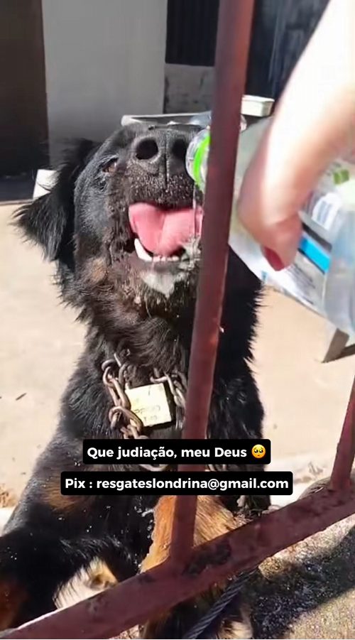 M2512019 Honestly, just when I think I’ve seen and experienced everything in this cause, something like this happens to me 😡🥹 Only those who live it understand_part2