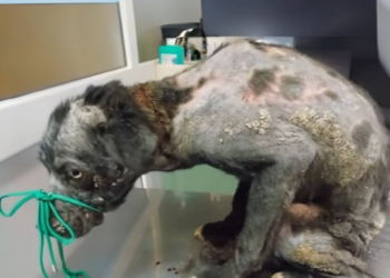 B2512002_Days dragged on in misery… frightened, heartbroken, and holding on for just a single sign that hope was still a