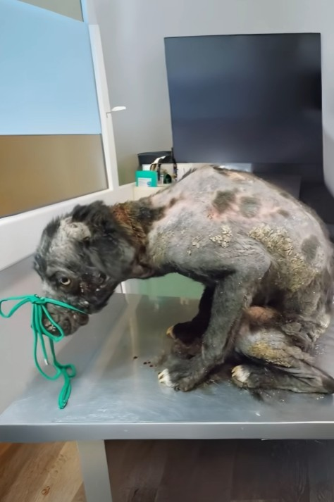 B2512002_Days dragged on in misery… frightened, heartbroken, and holding on for just a single sign that hope was still a