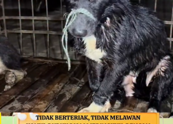 B2512005_Mata yang memohon_part2