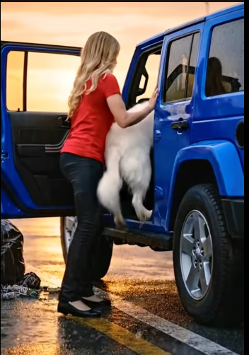 M2612006_Kind-Hearted Lady Rescues a Poor Dog on the Roadside in the Rain �️�✨ � Description In the pouring rain, a kind-he_p