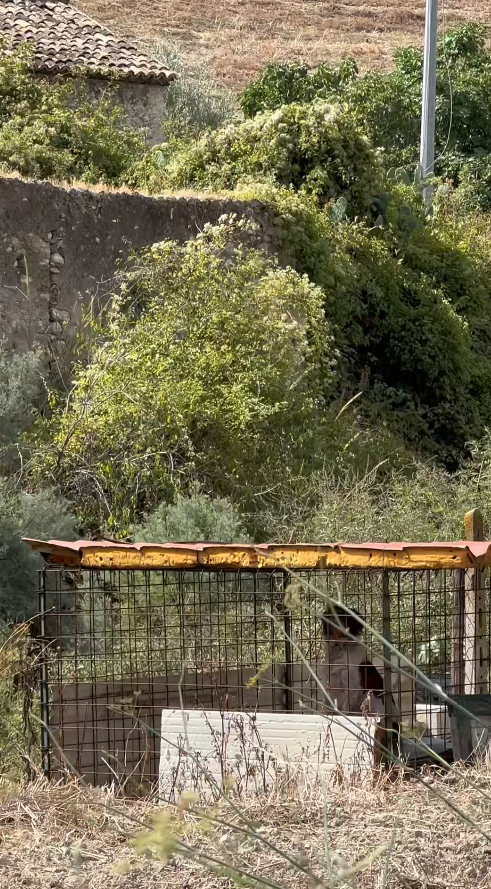 M0112015_two long years, Ringo knew only bars, silence, solitude. But_part2