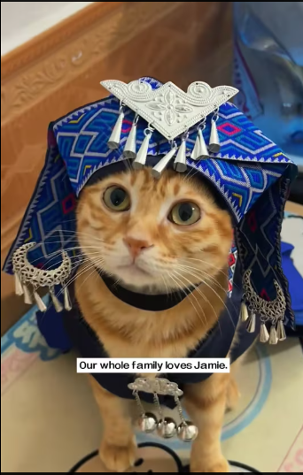 M2612012_saw drowning cat screaming help desperately. It was strugglin…_part2