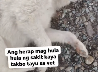 B2712009_Richard H. Abujen on Reels_part2