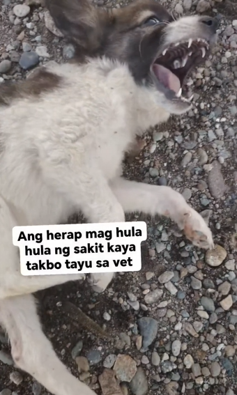 B2712009_Richard H. Abujen on Reels_part2