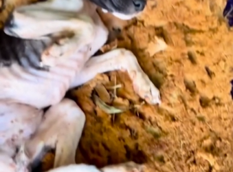 B2712012_Nossos braços não alcançam a todos ❤️��_part2