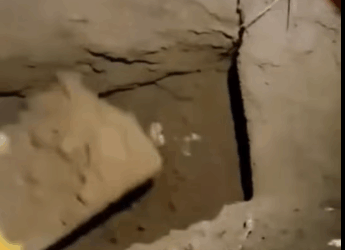 M0212001_rescue dog #rescuedog #dog #puppy #straydog #foryou #viralvideo #synt…_part2