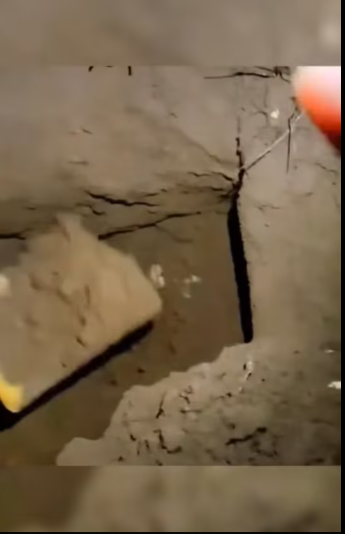 M0212001_rescue dog #rescuedog #dog #puppy #straydog #foryou #viralvideo #synt…_part2