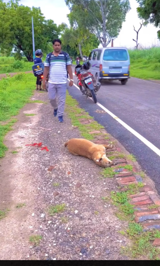 M2912004_Take care of the voiceless, friends, please stay safe_part2