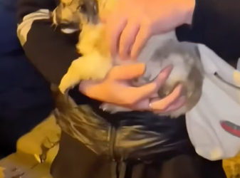 M2912016_Don be afraid, ll be your family. #foryou #fyp #foryoupage #wande…_part2