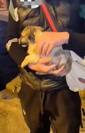 M2912016_Don be afraid, ll be your family. #foryou #fyp #foryoupage #wande…_part2