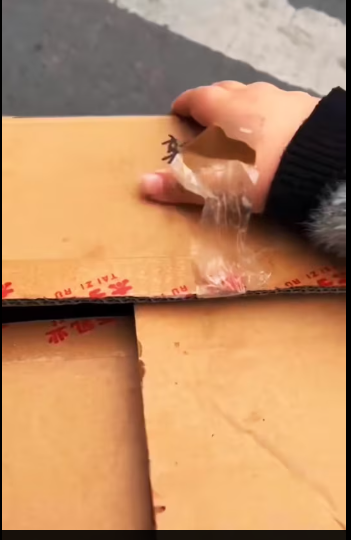 M0212005_save poor dog #dog #dogs #dogsoftiktok #poordog #fyp #foryou #vid… (1)_part2