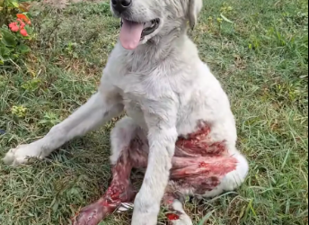 M2912025_#perúlima #limaperú #amor #puro #sincero #segunda #oportunidad #resca…_part2