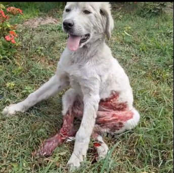 M2912025_#perúlima #limaperú #amor #puro #sincero #segunda #oportunidad #resca…_part2