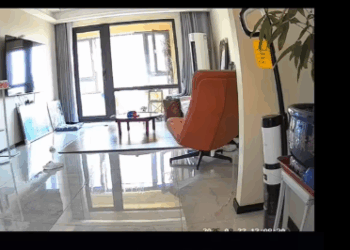 M0212015_#dog #dogs #dogsoftiktok #animals #animals_part2