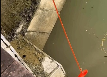 M0212019_#dog #dogsoftiktok #poordog #rescuedog_part2