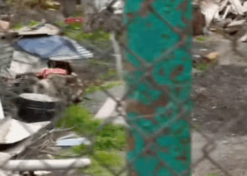 M0112007_Mama dog on chain, crying begging us not to take her tiny puppy…_part2