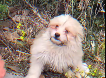 M0612001_Mi crimen fue nacer discapacitado mi castigo, el abandono part2_part2