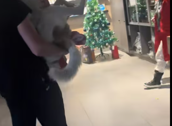 M2112019_@ivanbektorah (1)_part2