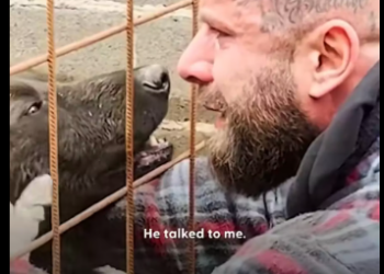 M0612002_#animal #animals #animallover #animalsurvival #thedodo_part2