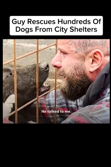 M0612002_#animal #animals #animallover #animalsurvival #thedodo_part2