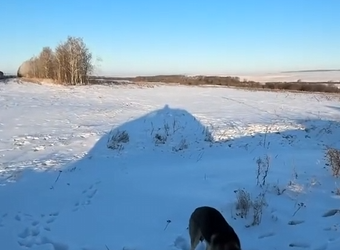 M2112021_TikTok (1)_part2