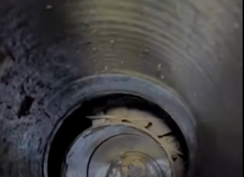 M0612003_#dogoftiktok #doglife #rescuedog #respect #poordog #puppy_part2