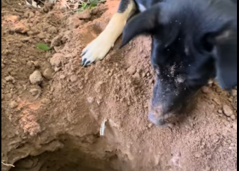 M2112020_Good luck #tiktok_part2