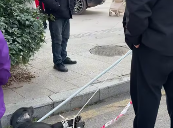 M2212008_An Encounter with an Abandoned Little Black_part2