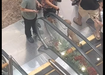 M0712002_TikTok_part2