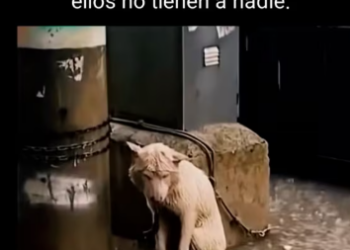 M0712003_TikTok (1)_part2