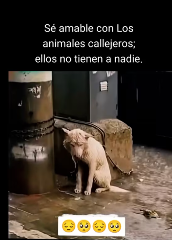 M0712003_TikTok (1)_part2