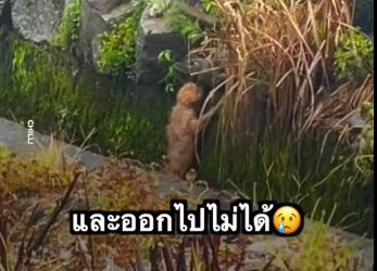 M0712005_The government is being led by the current_part 2