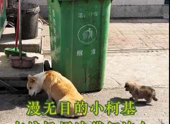 M0712007_A homeless mother and child are still searching for food in 40-degree weather_part2