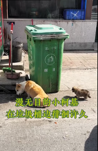 M0712007_A homeless mother and child are still searching for food in 40-degree weather_part2