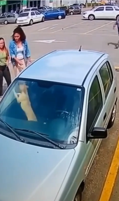 MAN REFUSES TO HELP CARAMEL-COLORED DOG TRAPPED INSIDE CAR IN C…