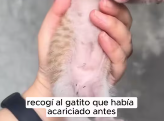 M0712015_don know if adopting it was right decision.#Foryou #animals_part2