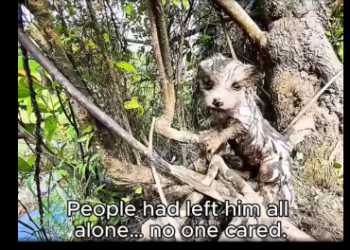 M0712016_He was cold, hungry, scared but love changed everything. #fyp #t…_part2