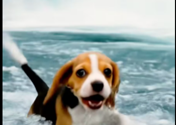 M3112016_Brave Penguin Rescues a Drowning Poor Puppy in the Sea �♂️✨_part2